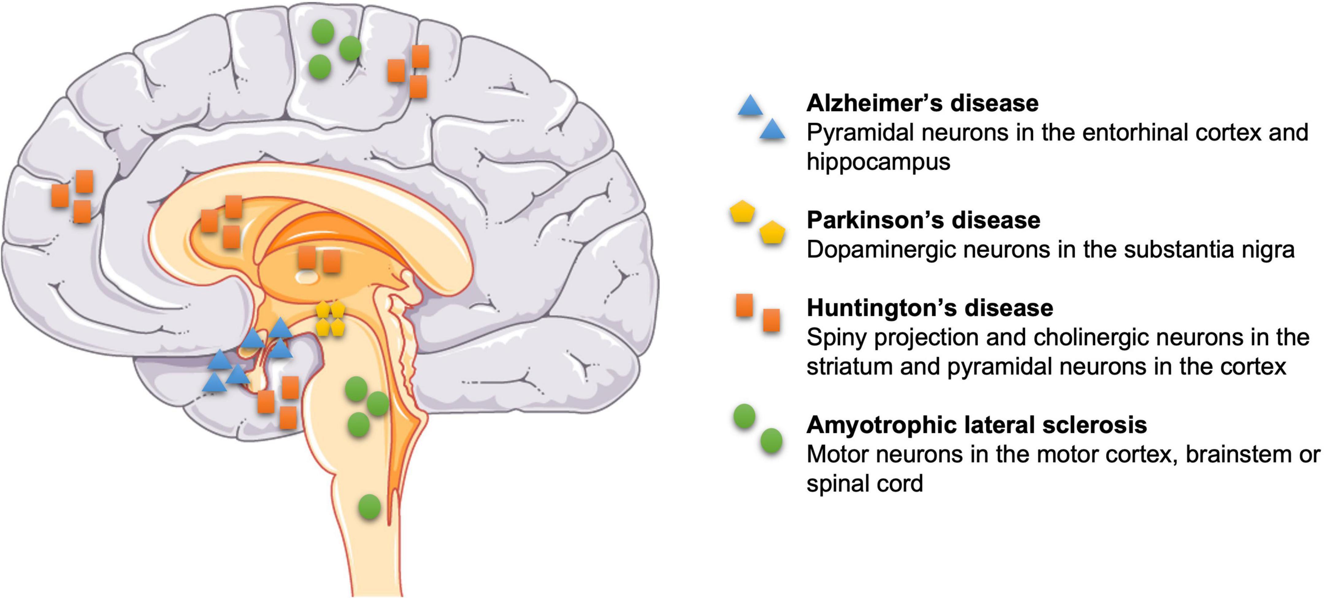 Psychiatric Disorders After Stroke Psychiatric Disorders After Stroke